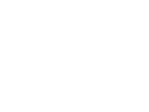 Urban Safari