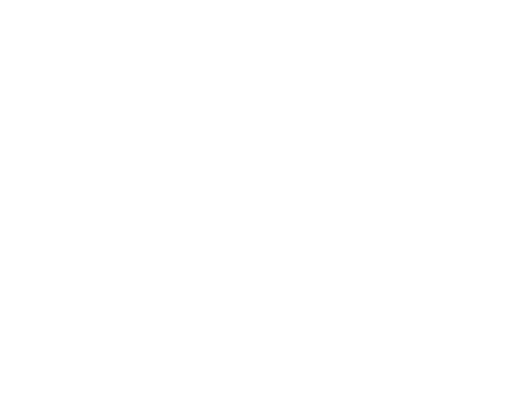 101 Other Level