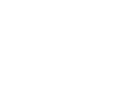 101 Other Level