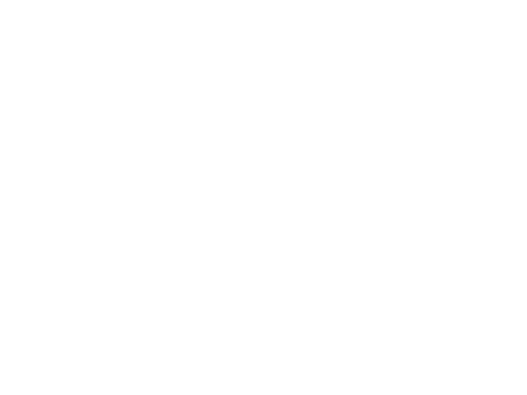 ICEX
